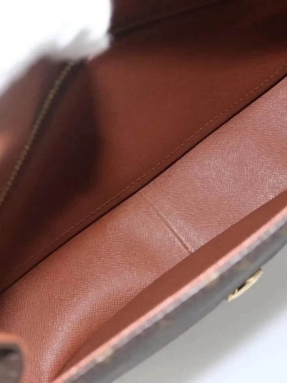 Louis Vuitton brand louis